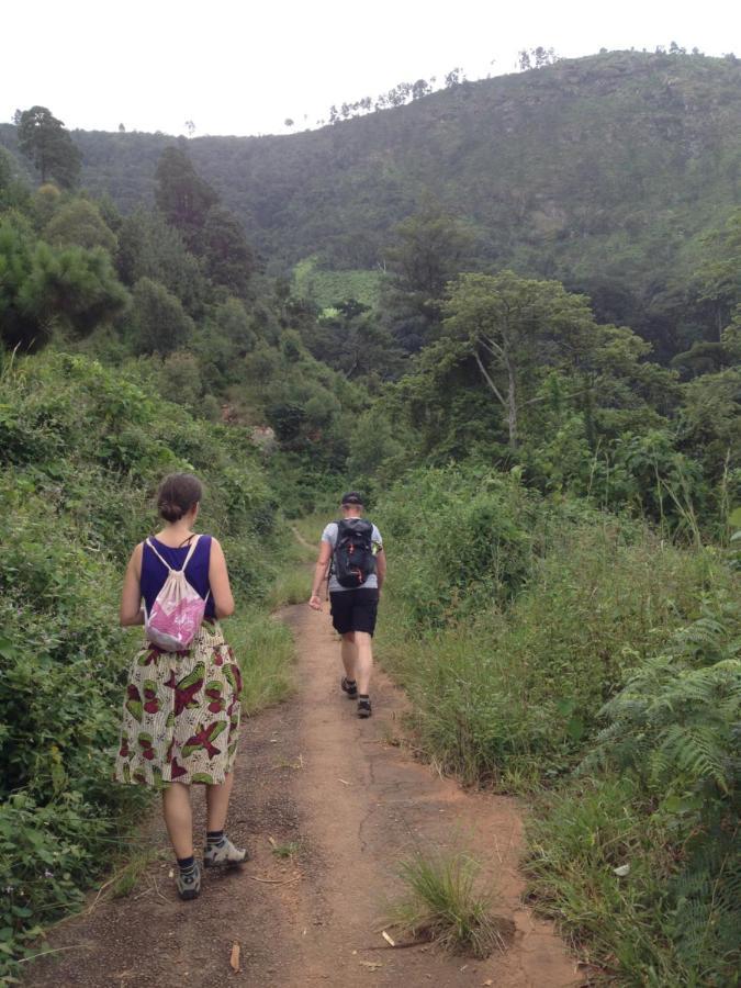 Blend Lodge And Kitchen - Pakachere Zomba Eksteriør bilde